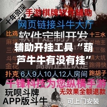 辅助开挂工具“葫芦牛牛有没有挂	”(透视挂)辅助下载教程