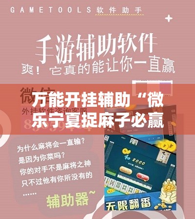 万能开挂辅助“微乐宁夏捉麻子必赢神器”详细外挂透视辅助软件教程