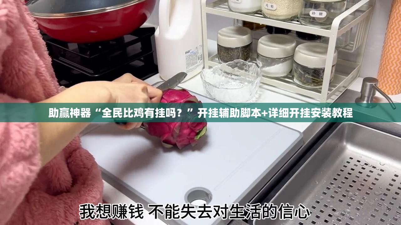 助赢神器“全民比鸡有挂吗？”开挂辅助脚本+详细开挂安装教程