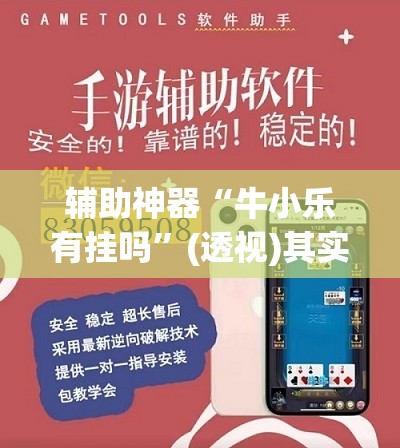 辅助神器“牛小乐有挂吗”(透视)其实确实有挂