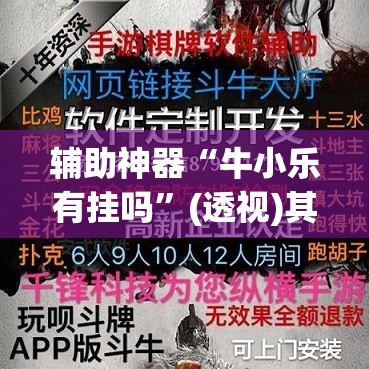 辅助神器“牛小乐有挂吗”(透视)其实确实有挂