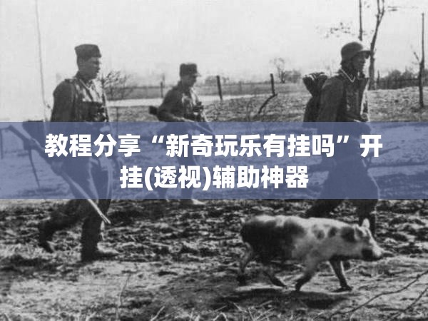 教程分享“新奇玩乐有挂吗	”开挂(透视)辅助神器