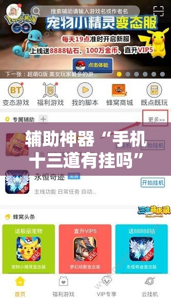 辅助神器“手机十三道有挂吗”细辅助教程分享