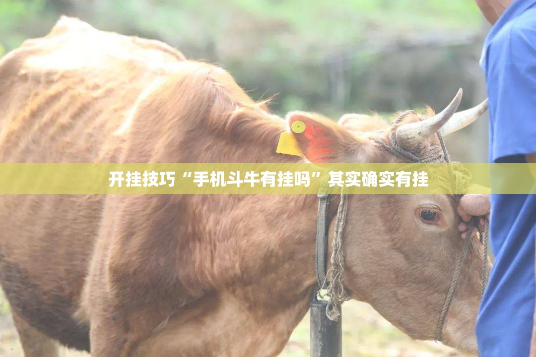 开挂技巧“手机斗牛有挂吗	”其实确实有挂