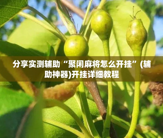 分享实测辅助“聚闲麻将怎么开挂”(辅助神器)开挂详细教程