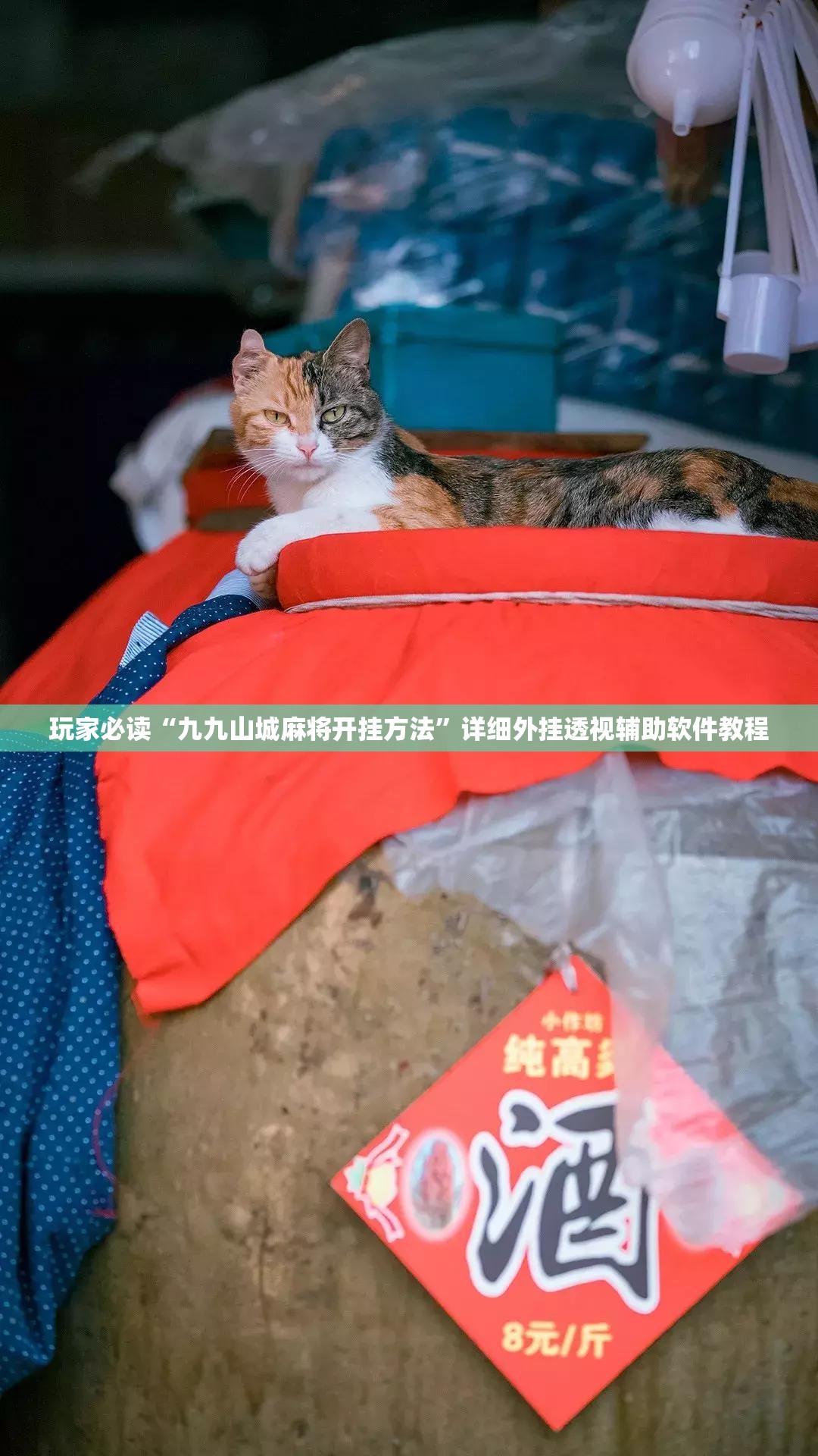 玩家必读“九九山城麻将开挂方法”详细外挂透视辅助软件教程
