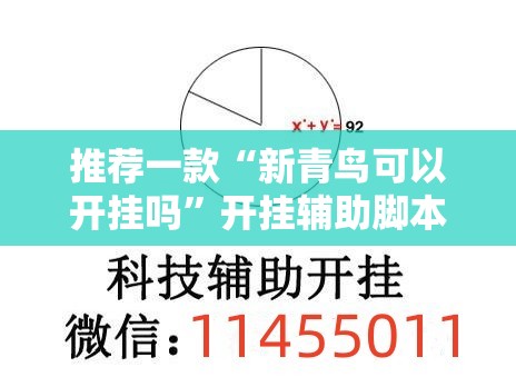 推荐一款“新青鸟可以开挂吗”开挂辅助脚本+详细开挂安装教程