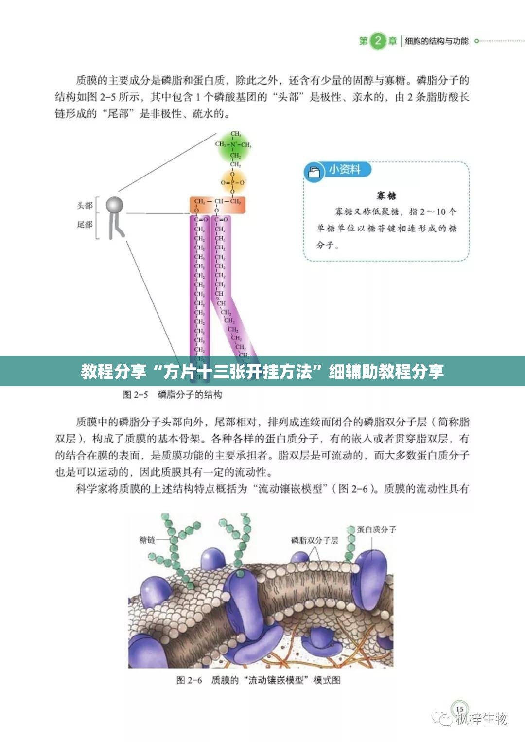 教程分享“方片十三张开挂方法	”细辅助教程分享