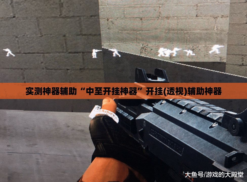 实测神器辅助“中至开挂神器	”开挂(透视)辅助神器
