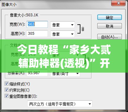 今日教程“家乡大贰辅助神器(透视)”开挂辅助脚本+详细开挂安装教程