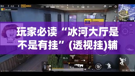 玩家必读“冰河大厅是不是有挂”(透视挂)辅助下载教程