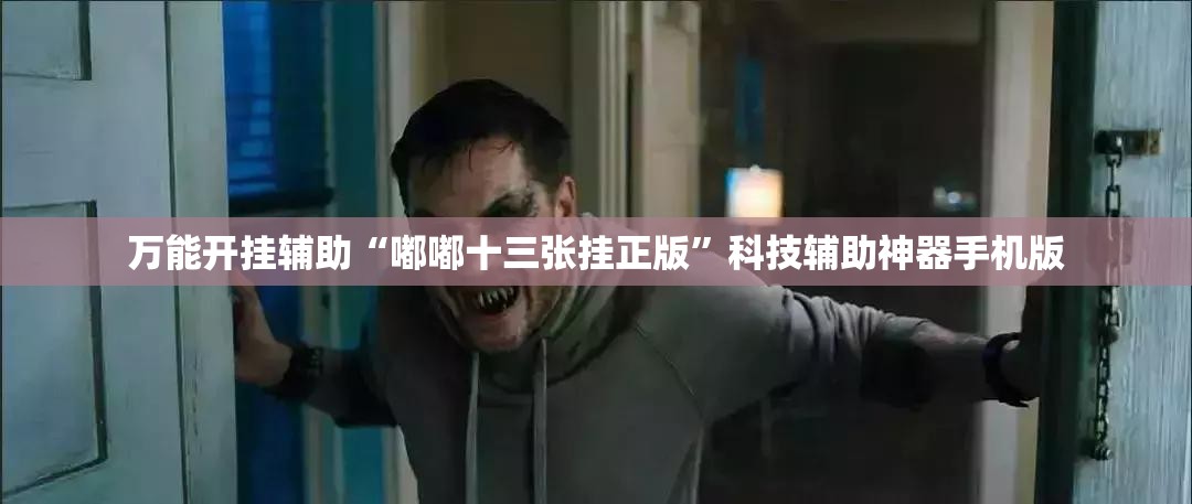 万能开挂辅助“嘟嘟十三张挂正版”科技辅助神器手机版