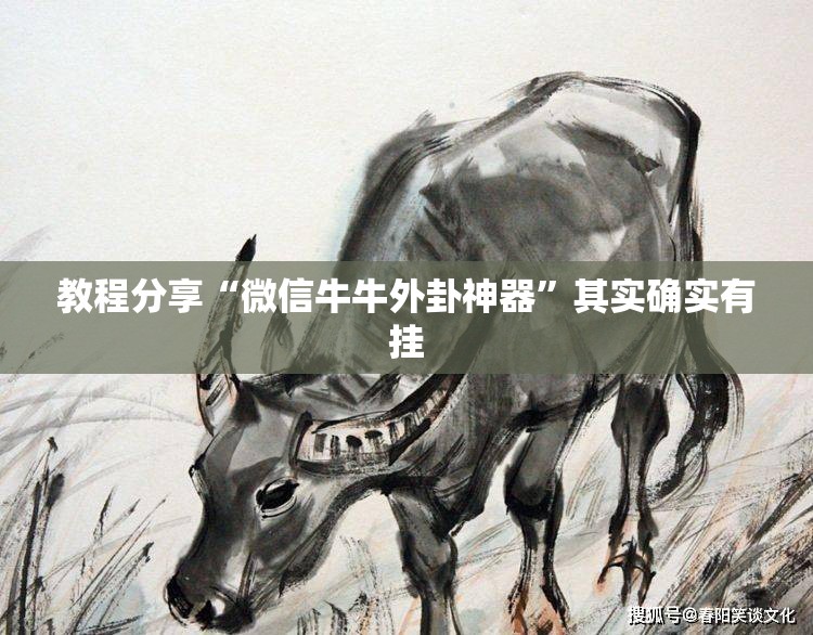 教程分享“微信牛牛外卦神器”其实确实有挂