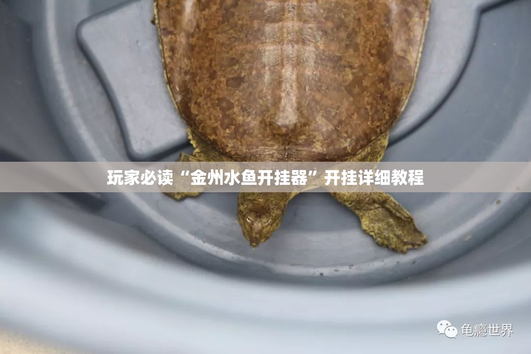 玩家必读“金州水鱼开挂器	”开挂详细教程