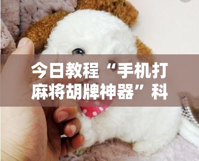 今日教程“手机打麻将胡牌神器”科技辅助神器手机版