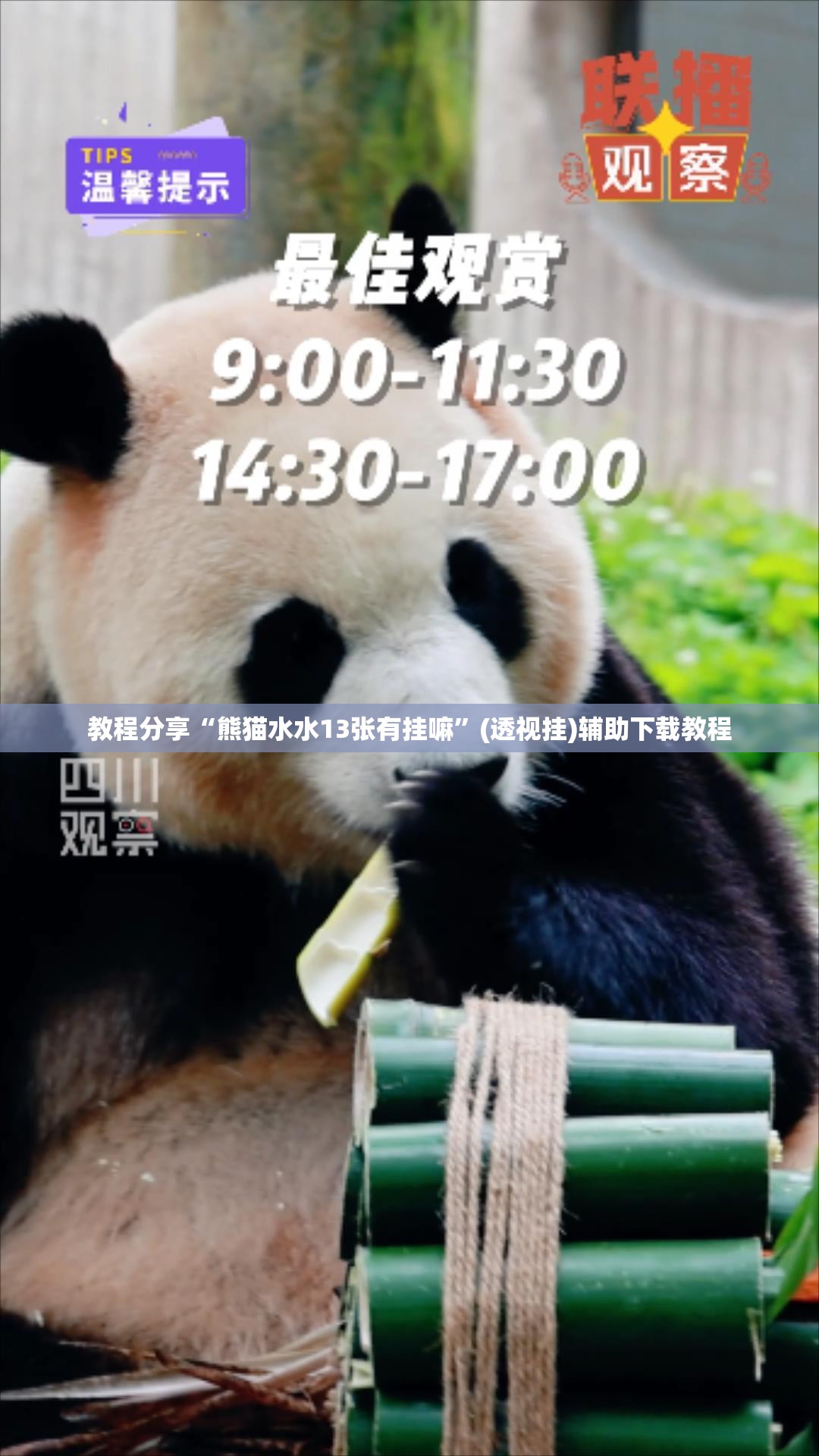 教程分享“熊猫水水13张有挂嘛”(透视挂)辅助下载教程