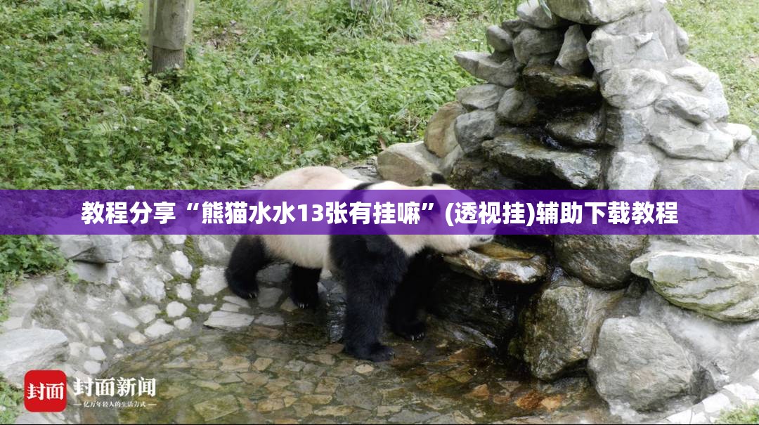 教程分享“熊猫水水13张有挂嘛	”(透视挂)辅助下载教程