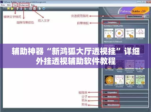 辅助神器“新鸿狐大厅透视挂”详细外挂透视辅助软件教程