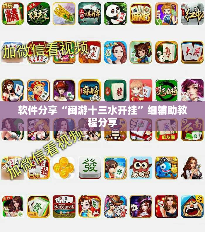 软件分享“闽游十三水开挂	”细辅助教程分享