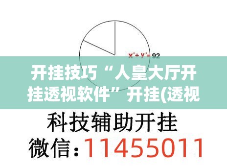开挂技巧“人皇大厅开挂透视软件”开挂(透视)最新辅助详细