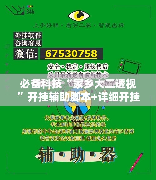 必备科技“家乡大二透视”开挂辅助脚本+详细开挂安装教程