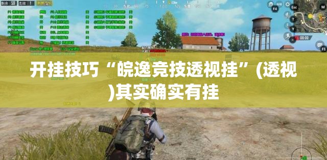 开挂技巧“皖逸竞技透视挂”(透视)其实确实有挂
