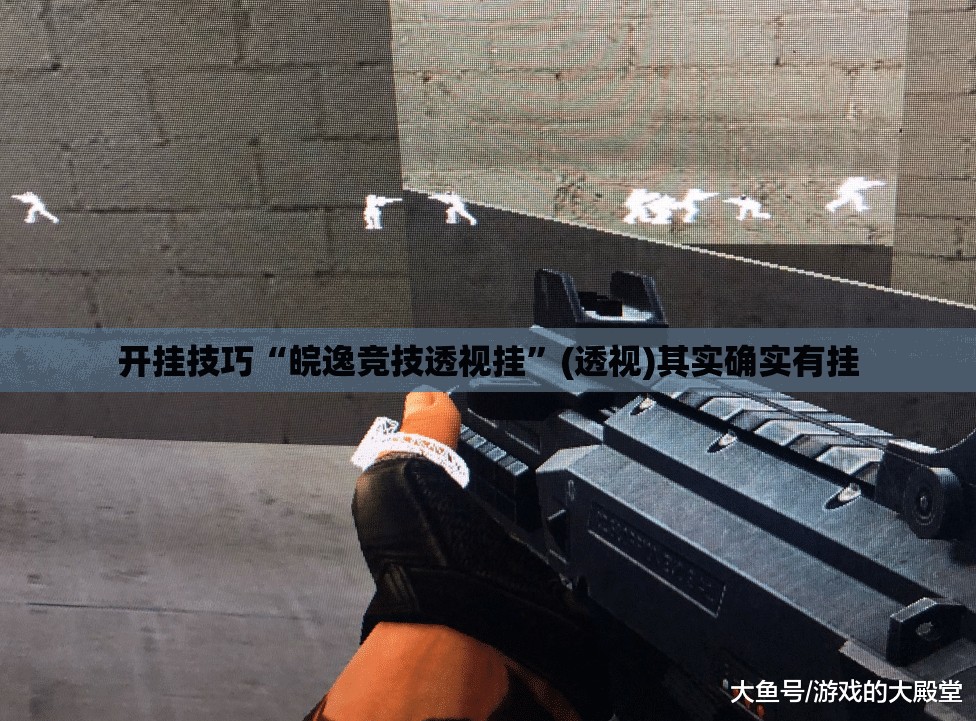开挂技巧“皖逸竞技透视挂”(透视)其实确实有挂