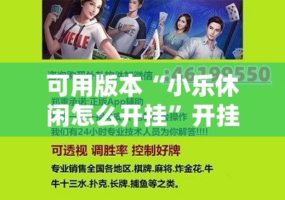 可用版本“小乐休闲怎么开挂”开挂辅助脚本+详细开挂安装教程
