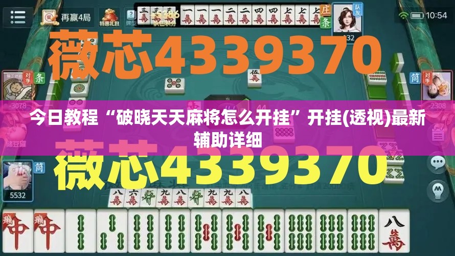 今日教程“破晓天天麻将怎么开挂”开挂(透视)最新辅助详细
