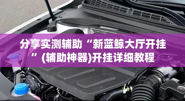 分享实测辅助“新蓝鲸大厅开挂”(辅助神器)开挂详细教程