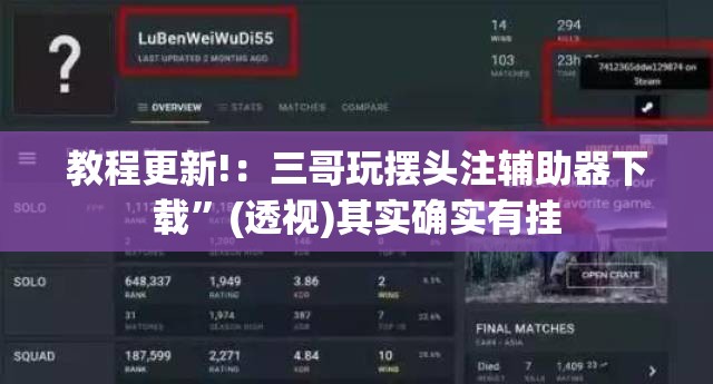 教程更新!：三哥玩摆头注辅助器下载”(透视)其实确实有挂