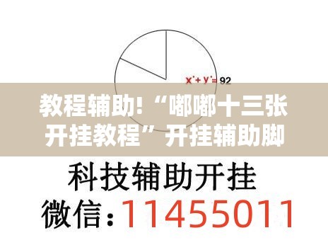 教程辅助!“嘟嘟十三张开挂教程”开挂辅助脚本+详细开挂安装教程