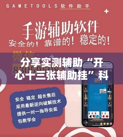 分享实测辅助“开心十三张辅助挂”科技辅助神器手机版