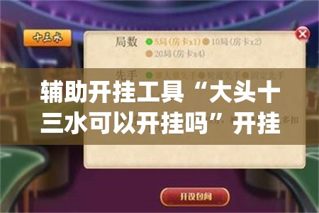 辅助开挂工具“大头十三水可以开挂吗”开挂(透视)辅助教程