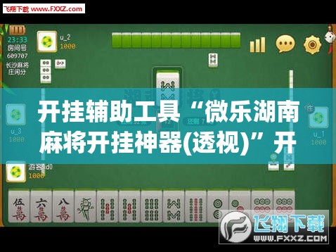 开挂辅助工具“微乐湖南麻将开挂神器(透视)”开挂辅助脚本+详细开挂安装教程