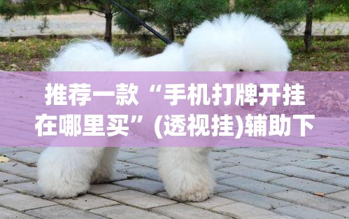 推荐一款“手机打牌开挂在哪里买”(透视挂)辅助下载教程