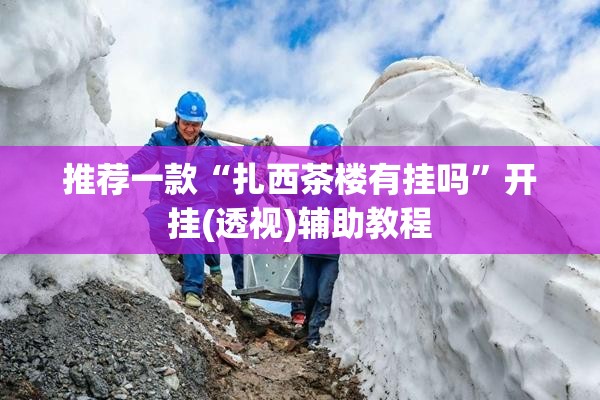 推荐一款“扎西茶楼有挂吗”开挂(透视)辅助教程